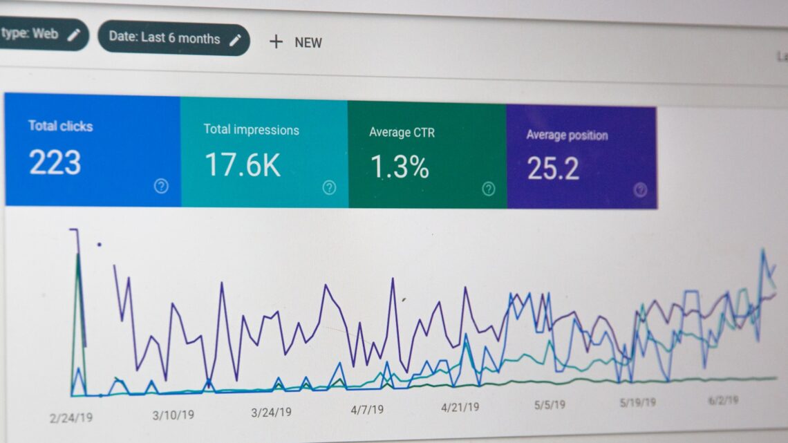 Prémium linképítés csomagok a Kanga Design SEO ügynökségtől